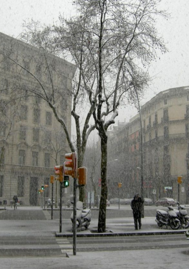 ���� � ������ �������