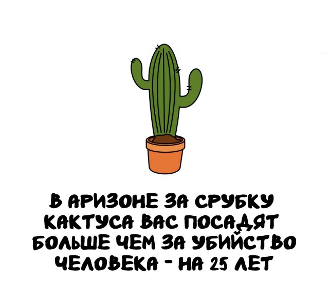 �����, ������� ������