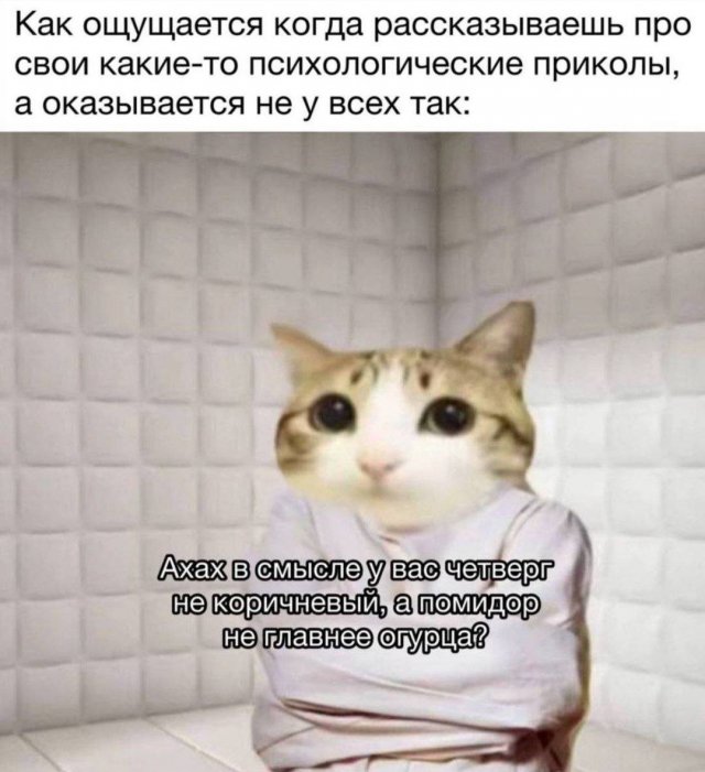 ������ ���� �����