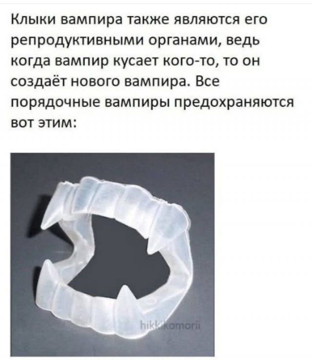 ������ ���� �����