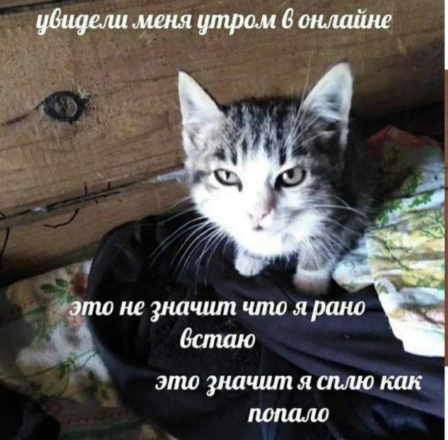 ���� � �����, ������� ������� ��� ������ ����