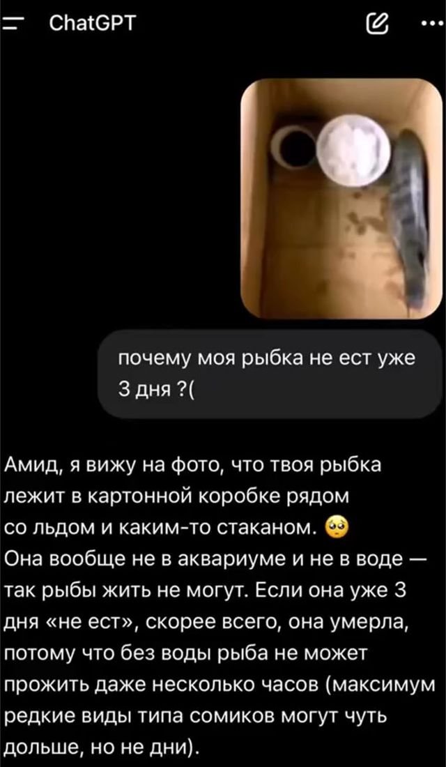 ������ ���� ������� ���� ChatGPT