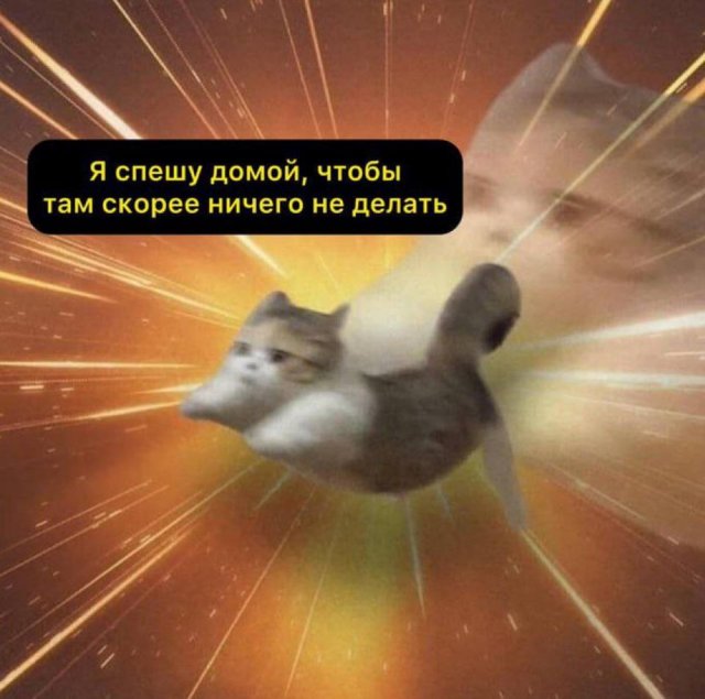 ���� � �����, ������� ������� ��� ������ ����