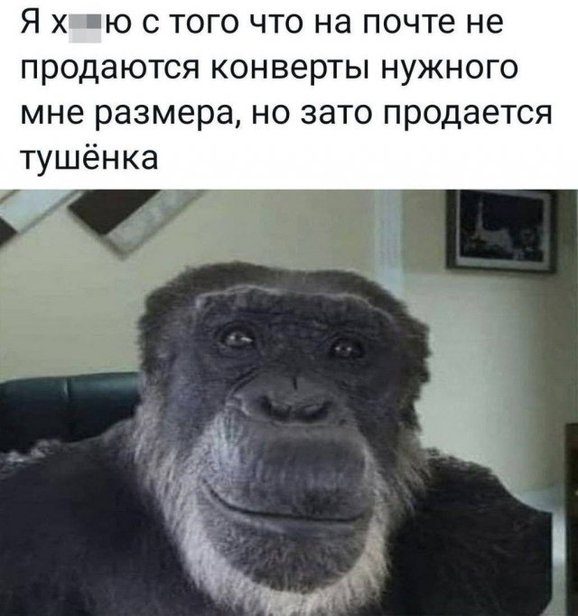 ���� � �����, ������� ������� ��� ������ ����