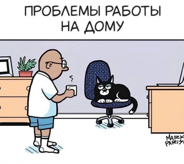 ���� � �����, ������� ������� ��� ������ ����