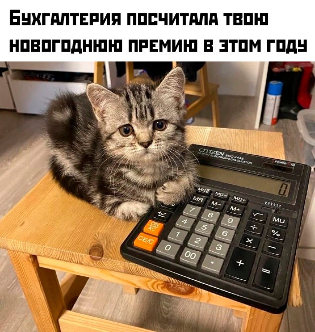 ���� � �����, ������� ������� ��� ������ ����