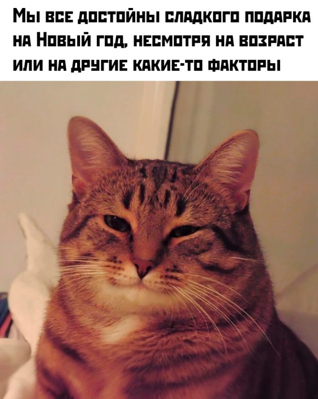 ���� � �����, ������� ������� ��� ������ ����