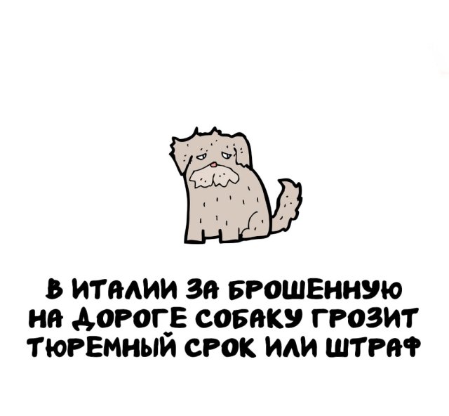 ���������� �����, ������� ������ � ����� �������� 