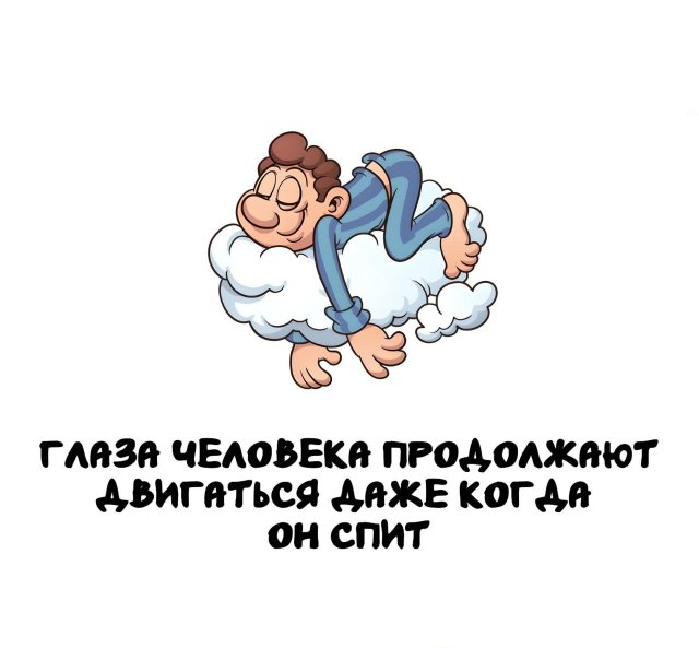 ���������� �����, ������� ������ � ����� �������� 