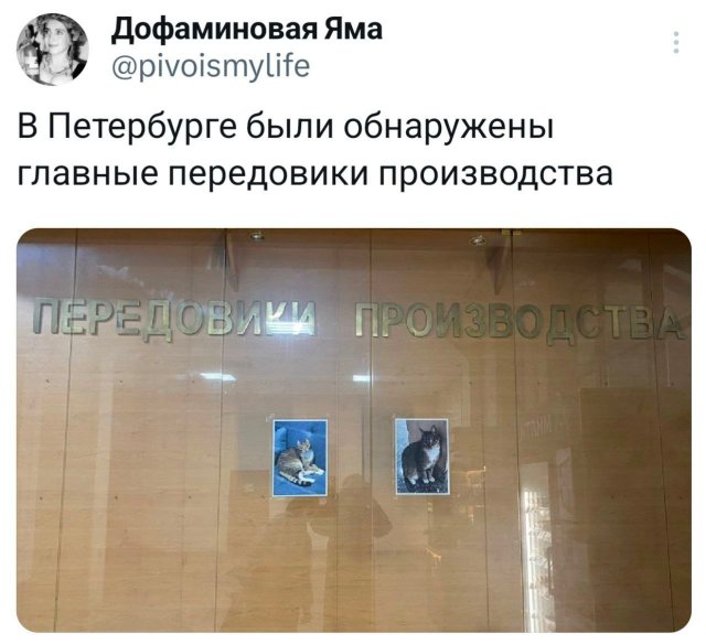 �������� �������� ������ ��� ���