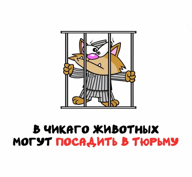 �����, ������� �������� ������ ���