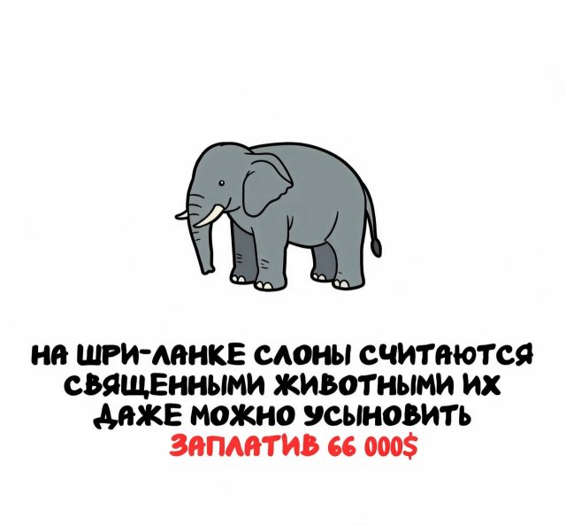 �����, ������� �������� ������ ���