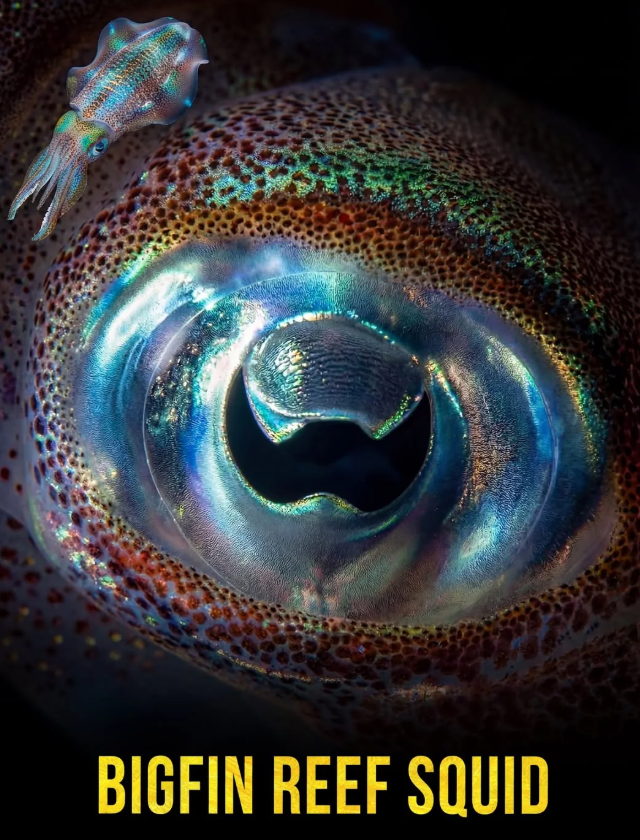 ����� �������������� ����� � ����� �������