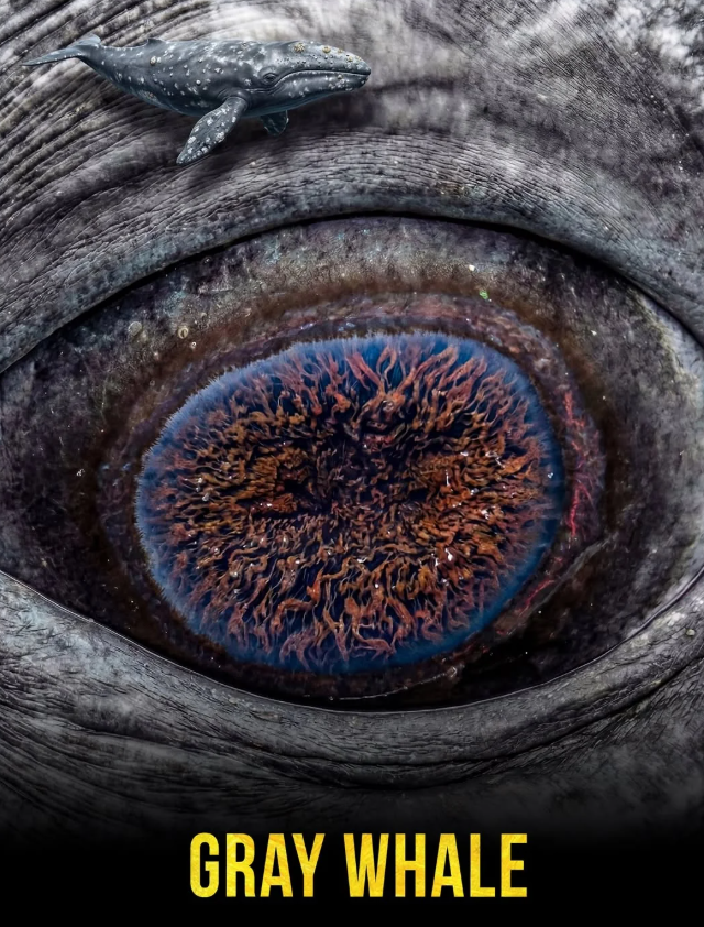 ����� �������������� ����� � ����� �������