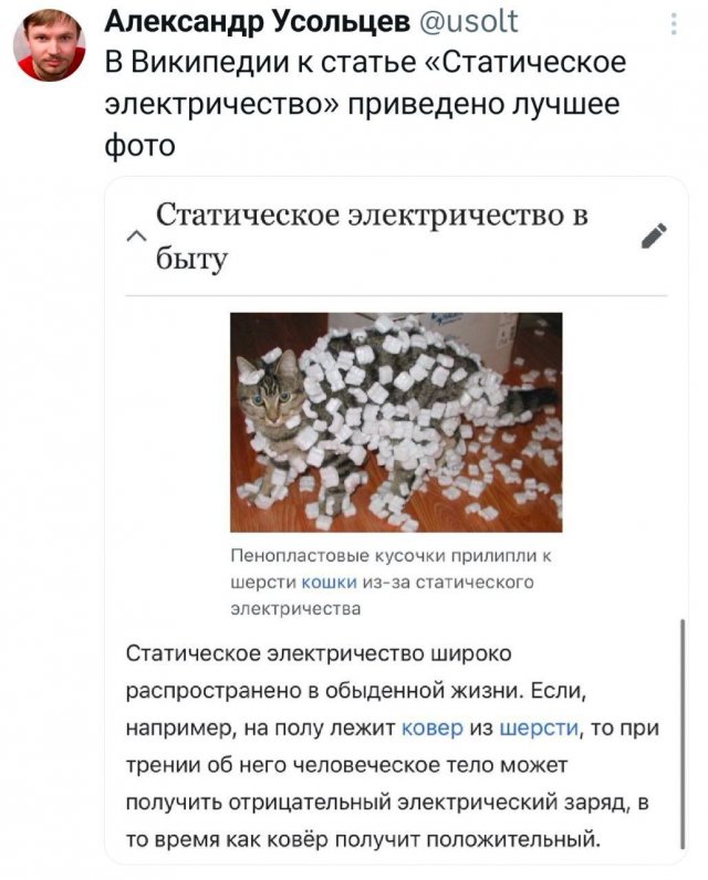 ������ �������� �������� ������ ��� ���