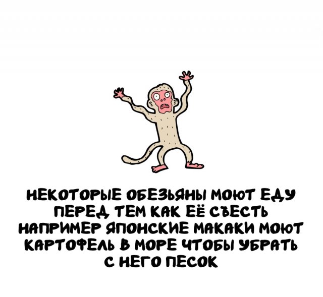 ���������� ����� �� ����� ������