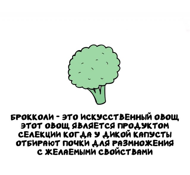 ���������� ����� �� ����� ������