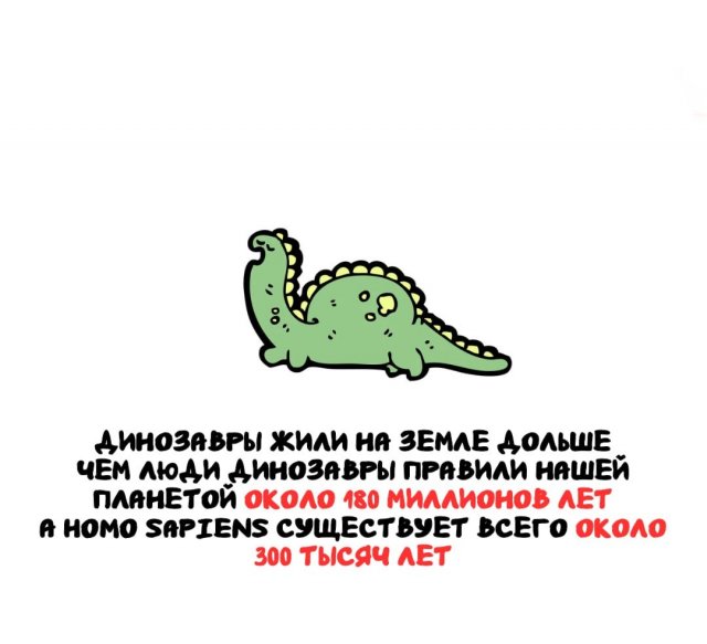 ���������� ����� �� ����� ������