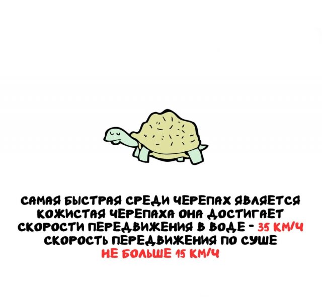 ���������� ����� �� ����� ������ �����