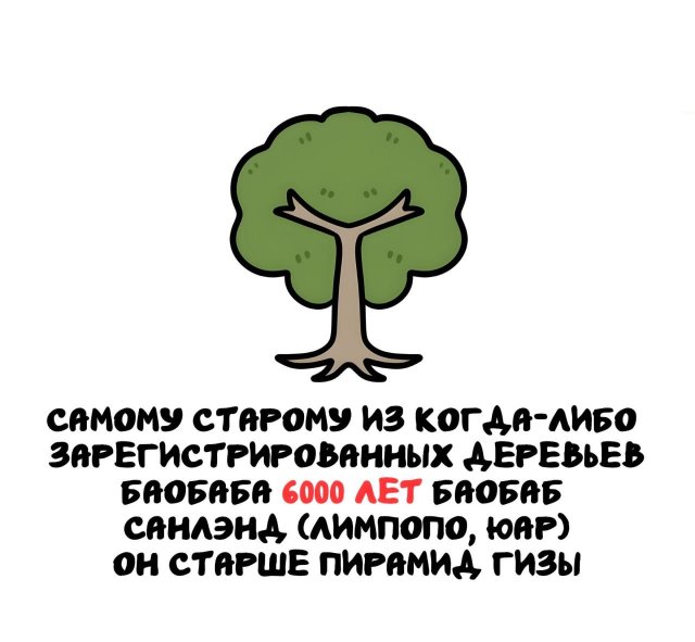 ���������� ����� �� ����� ������ �����