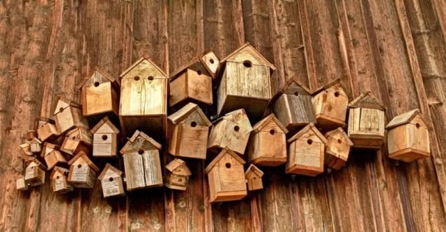 ���������� ��������