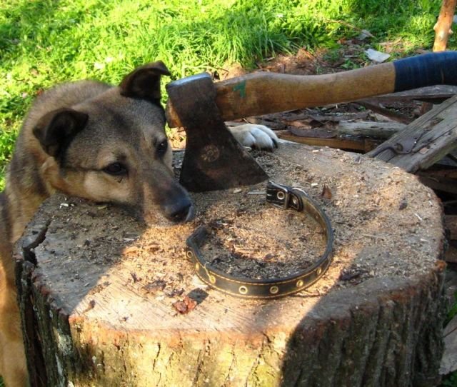 ���������� ��������