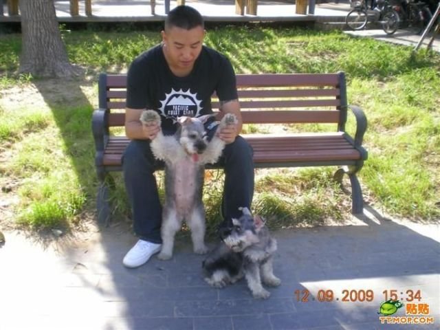 ���������� ��������