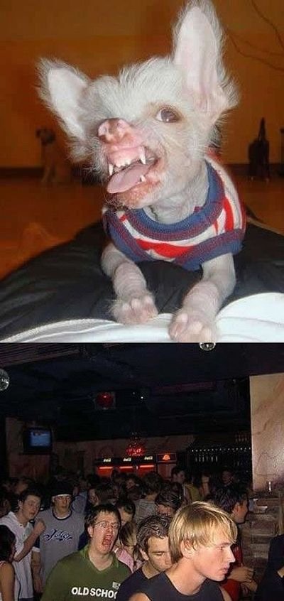 ���������� ��������