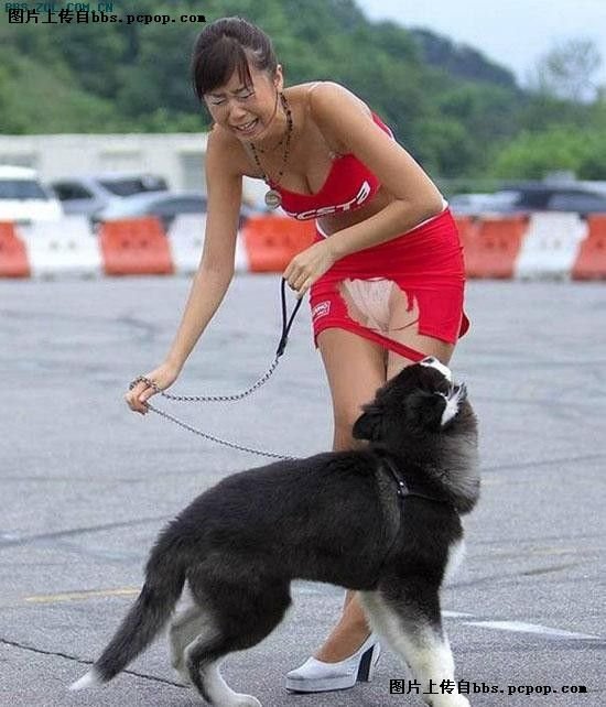 ���������� ��������