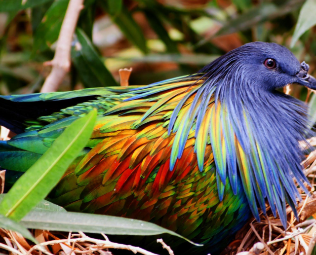 ��������� ������