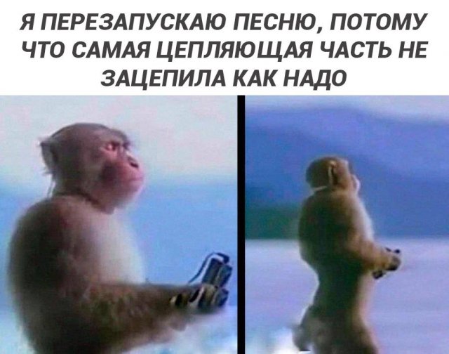 ����, ������� ������� �������