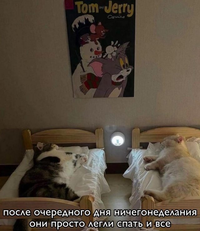 ����, ������� ������� �������