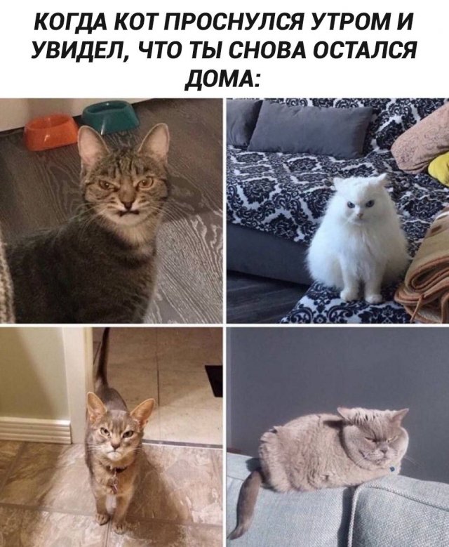 ����, ������� ������� �������