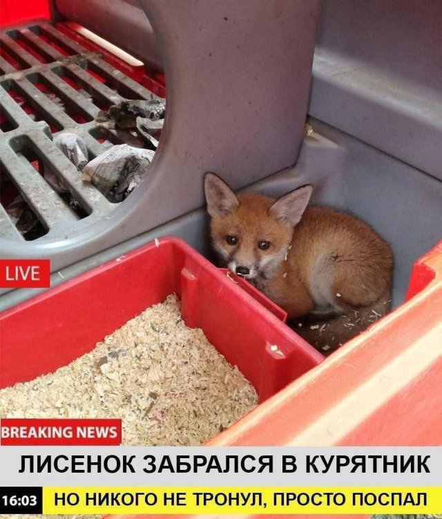 ����� ������� ���� � ����� �� ���������