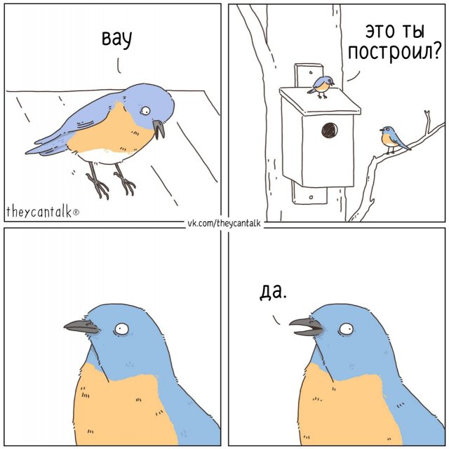 ����� ������� ���� � ����� �� ���������