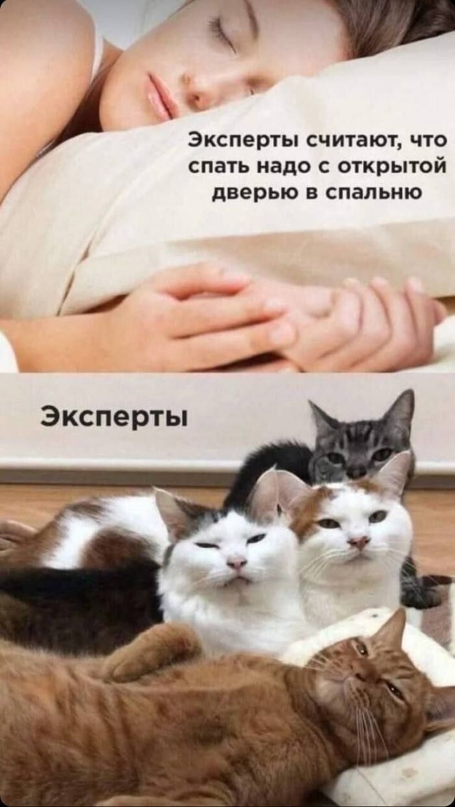 ����� ������� ���� � ����� �� ���������