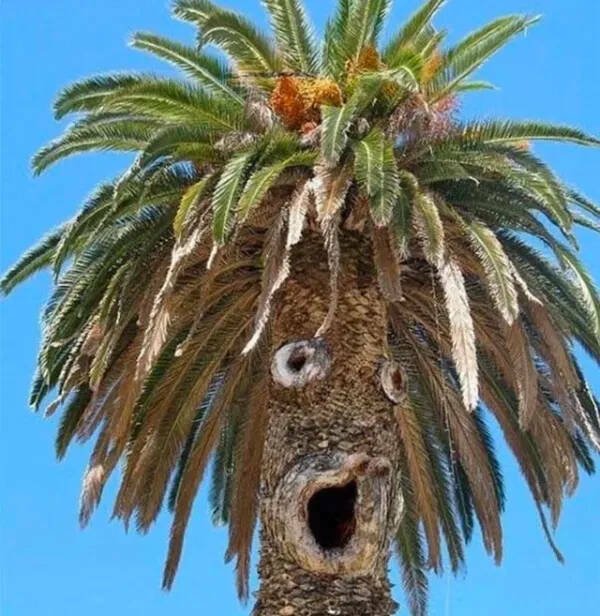 ���������� ��������