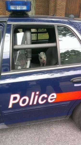 ���������� ��������