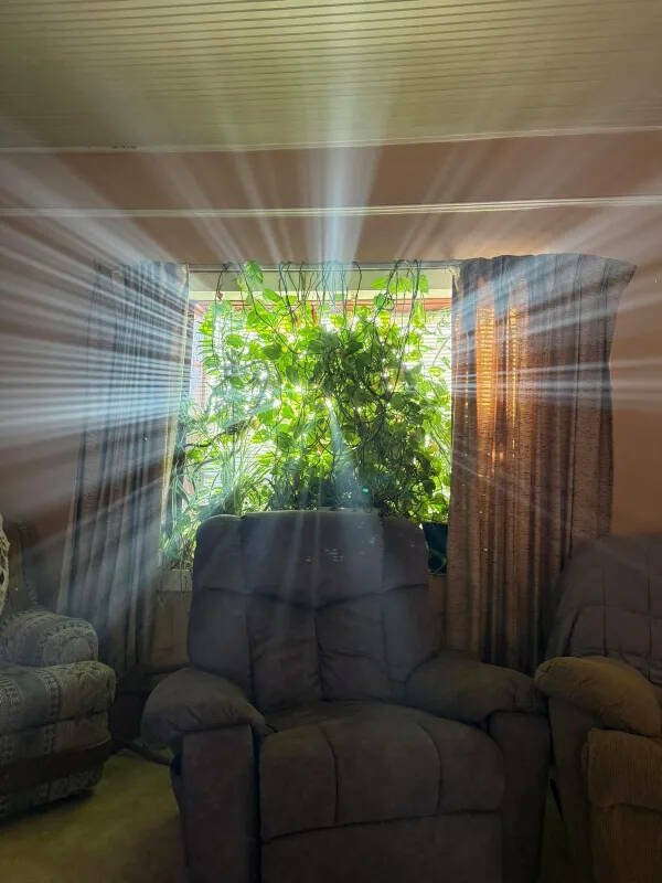 ���������� ��������