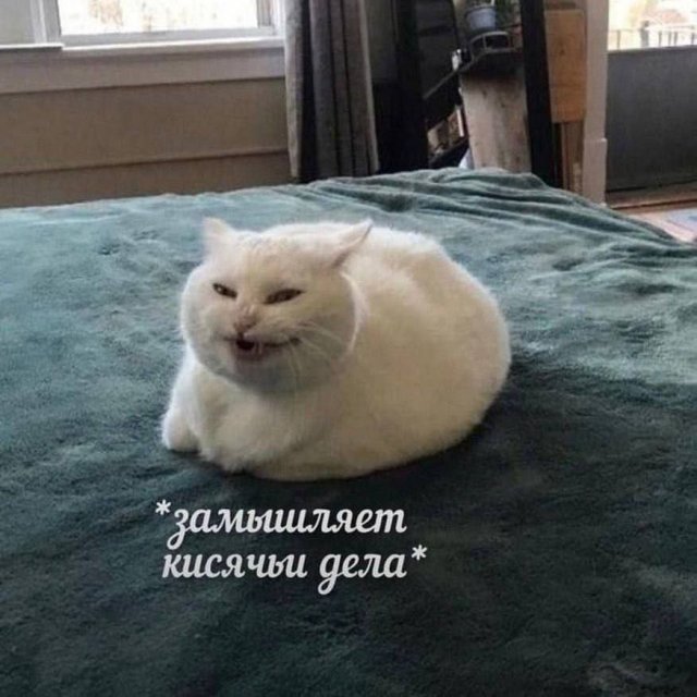 ������� ��������