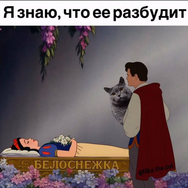 ������� ��������