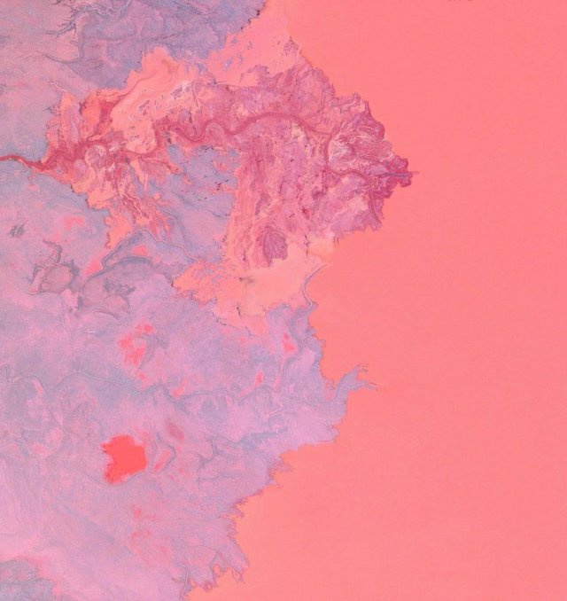 ����� ������� ���������