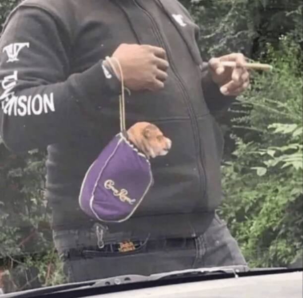 ���������� ��������