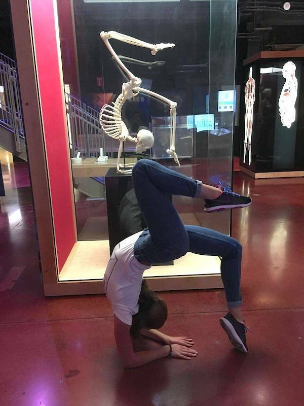 ���������� ��������