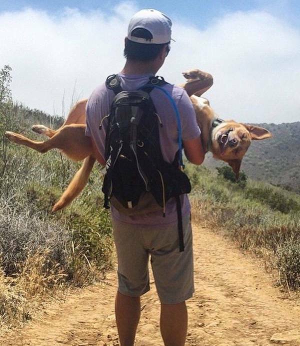 ���������� ��������