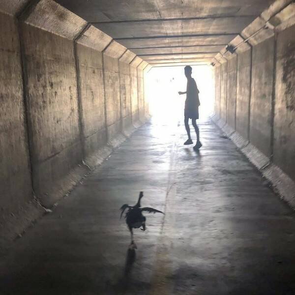 ���������� ��������