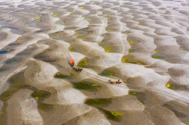 ���������� ��������