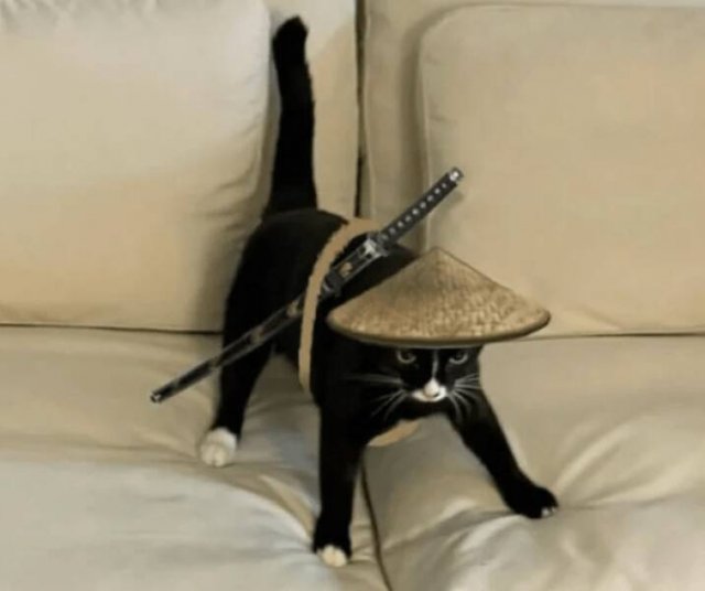 ���������� ��������