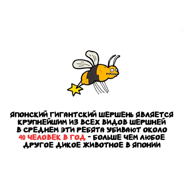 �����, ������� ������: �� �������-����� �� ������������ �������