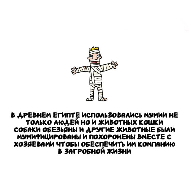 �����, ������� ������: �� �������-����� �� ������������ �������